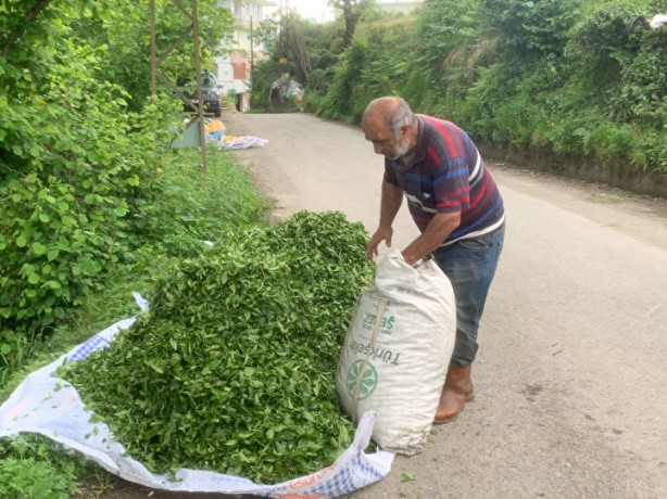 Foto - İşçi sorunu patlak verdi! Günlüğü 1000 li̇ra ama yüzüne bakan yok!