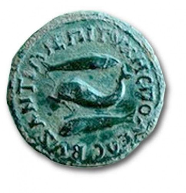 Foto - İşçiler tesadüfen buldu!