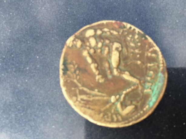 Foto - İşçiler tesadüfen buldu!