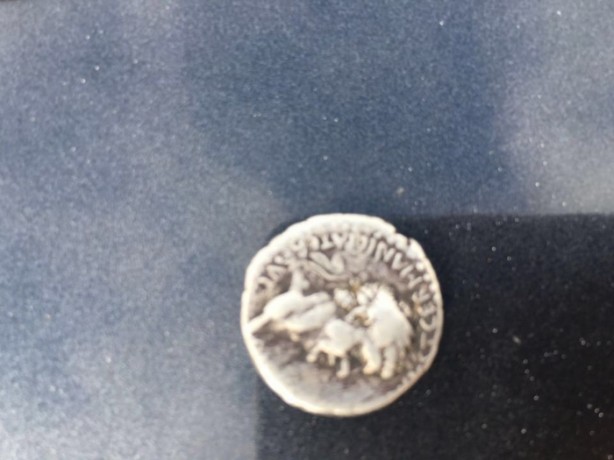 Foto - İşçiler tesadüfen buldu!