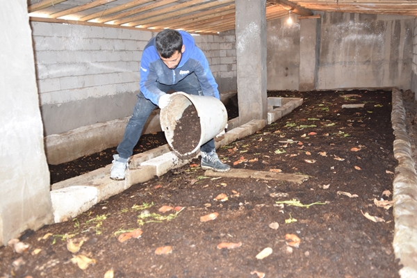 Foto - İşe başladığında arkadaşları alay etti... Şimdi gelen taleplere yetişemiyor
