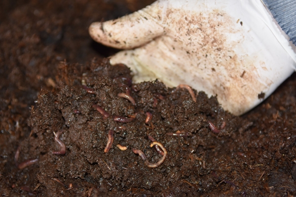 Foto - İşe başladığında arkadaşları alay etti... Şimdi gelen taleplere yetişemiyor