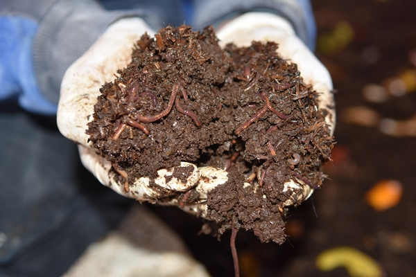 Foto - İşe başladığında arkadaşları alay etti... Şimdi gelen taleplere yetişemiyor