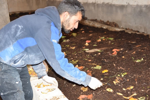 Foto - İşe başladığında arkadaşları alay etti... Şimdi gelen taleplere yetişemiyor