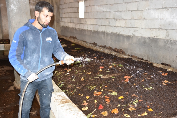İşe başladığında arkadaşları alay etti... Şimdi gelen taleplere yetişemiyor