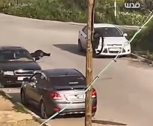 Foto - İşgal güçleri Cenin’de terör estiriyor