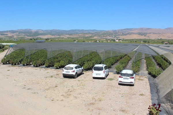 Foto - İşi bıraktı çiftçi oldu! 