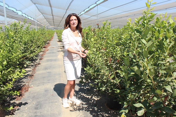 Foto - İşi bıraktı çiftçi oldu! 