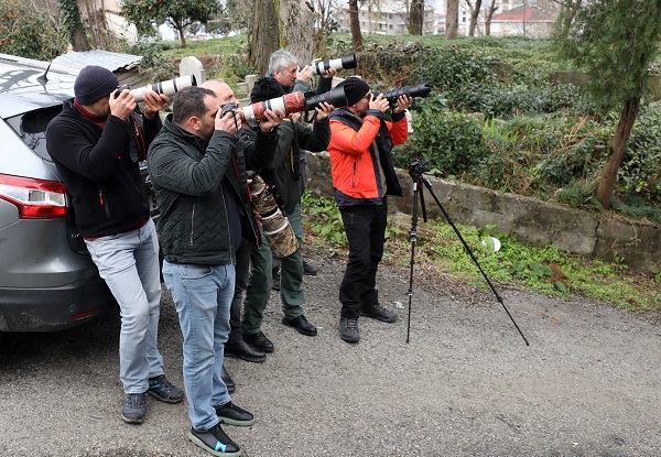 Foto - İşi gücü bırakıp Rize’ye koştular! Uzun süredir peşindeydiler sonunda görüntülendi
