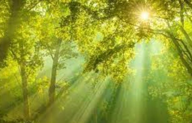 Foto - Işık hakkında yeni bir gizem keşfedildi