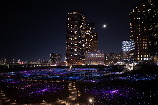 Foto - 'Işık Tarlası' gösterisi ziyarete açıldı