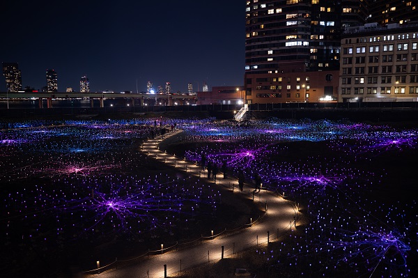 Foto - 'Işık Tarlası' gösterisi ziyarete açıldı