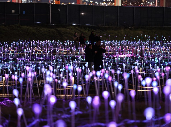 Foto - 'Işık Tarlası' gösterisi ziyarete açıldı