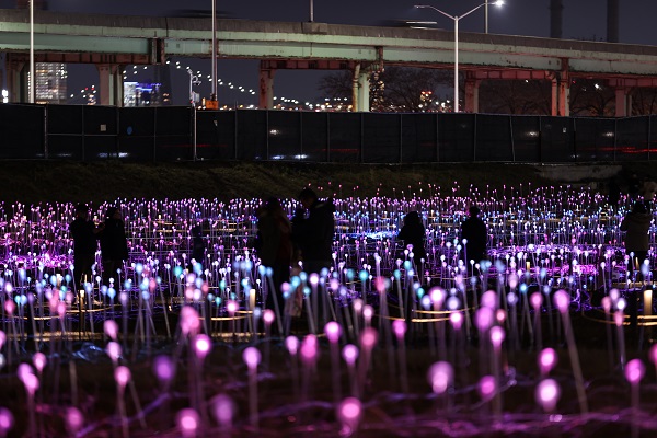 Foto - 'Işık Tarlası' gösterisi ziyarete açıldı