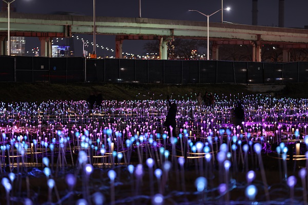 Foto - 'Işık Tarlası' gösterisi ziyarete açıldı