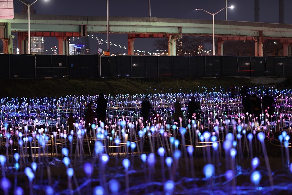 Foto - 'Işık Tarlası' gösterisi ziyarete açıldı