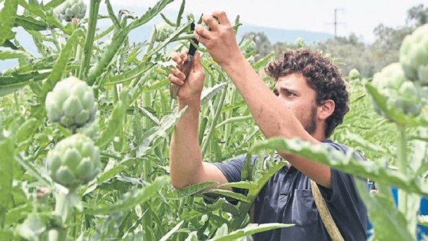 Foto - İşin sırrını yıllar önce çözmüşler! Tek lokmasında atom etkisi veriyor! Bunu yiyen zıpkın gibi, fişek gibi, demir gibi oluyor! Allah’ın şu işine bakın