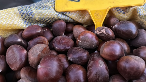 Foto - İşin ustasından kestane pişirmenin püf noktaları