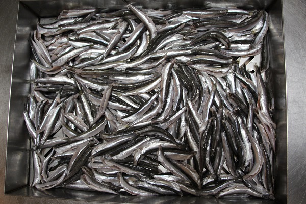 Foto - İşin uzmanından tavsiyeler! İşte leziz balık pişirmenin püf noktası