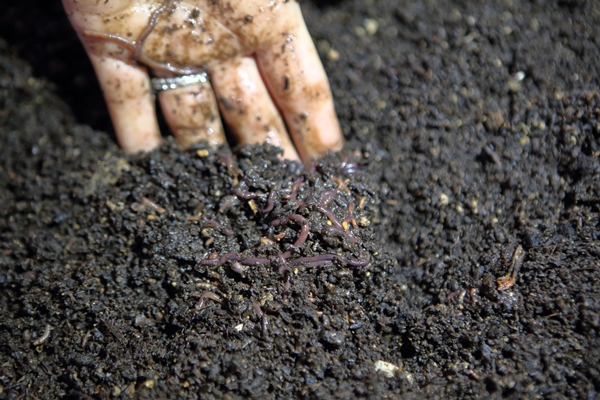 Foto - İşinden istifa edip başladı... 2 yılda 9 kat büyüttü