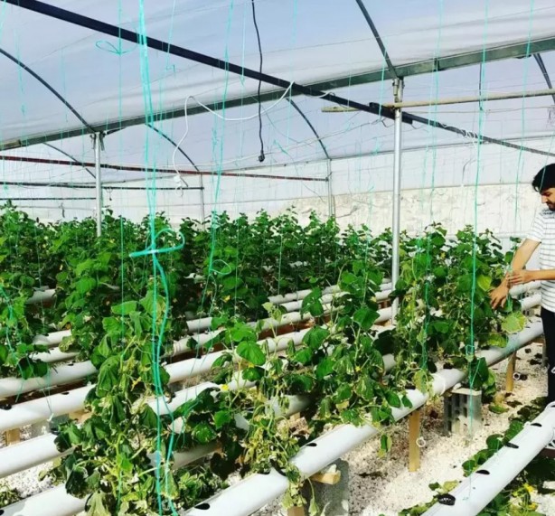 Foto - İşinden istifa edip bu işe başladı! Şimdi yüzde 500 kar ediyor!