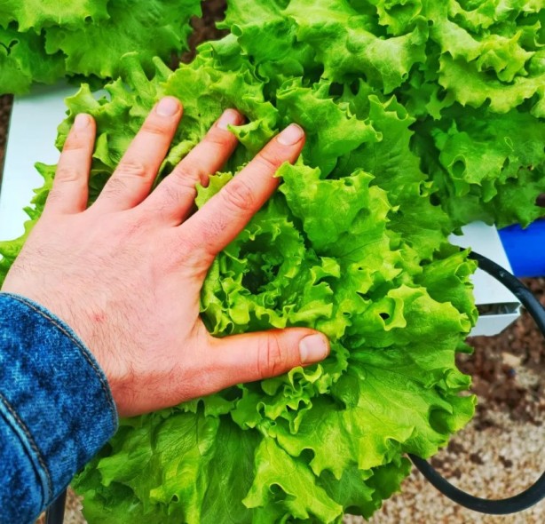 Foto - İşinden istifa edip bu işe başladı! Şimdi yüzde 500 kar ediyor!