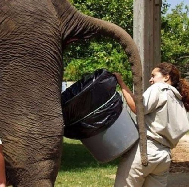 Foto - İşinizden şikayet ediyorsanız bir de bunlara bakın!