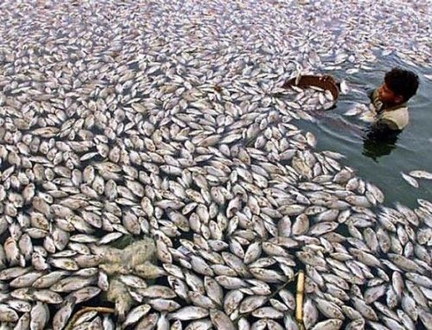 Foto - İşinizden şikayet ediyorsanız bir de bunlara bakın!