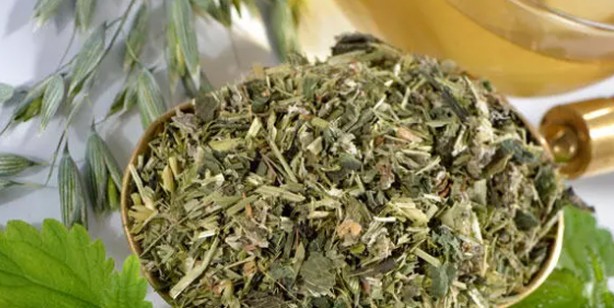 Foto - Isırgan otu suyunun faydaları nelerdir? İbn-i Sina'dan deva: Resmen tam şifa oldu! Çarpıcı detaylar