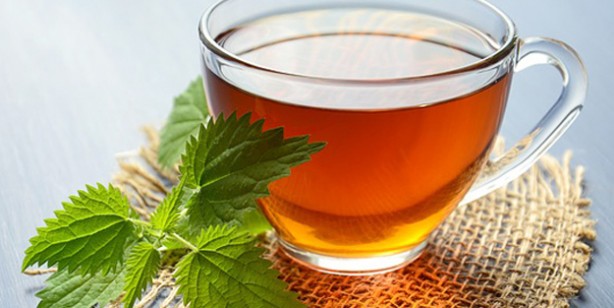 Foto - Isırgan otu suyunun faydaları nelerdir? İbn-i Sina'dan deva: Resmen tam şifa oldu! Çarpıcı detaylar