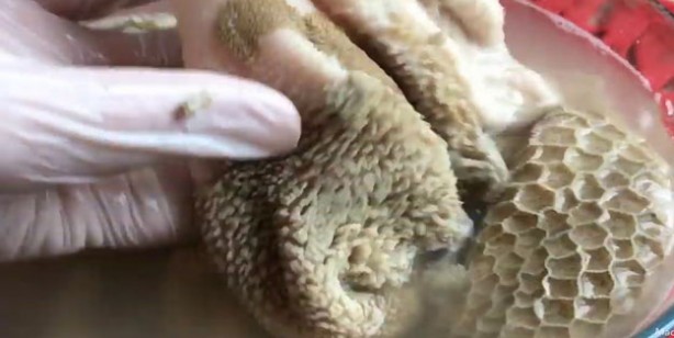 Foto - işkembe nasıl temizlenir? İşkembe kokusu nasıl giderilir? Püf noktaları ile işkembe temizliği 