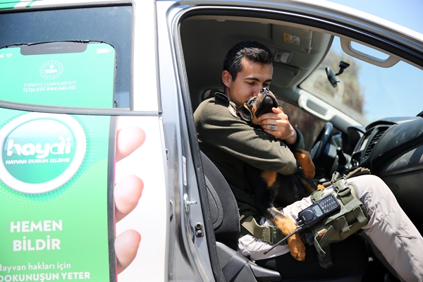 İşkence edilen yavru köpek artık emin ellerde