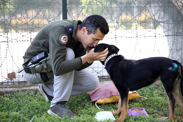 Foto - İşkence edilen yavru köpek artık emin ellerde