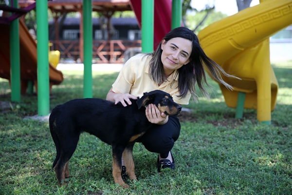 Foto - İşkence edilen yavru köpek artık emin ellerde