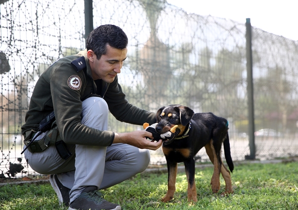 Foto - İşkence edilen yavru köpek artık emin ellerde