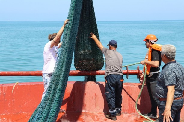 Foto - İskenderun Körfezi'ne küresel iklim değişikliğinin etkileri araştırılıyor