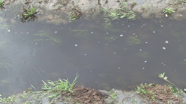İSKİ boruyu patlattı! O baraja günlerdir lağım suyu karışıyor
