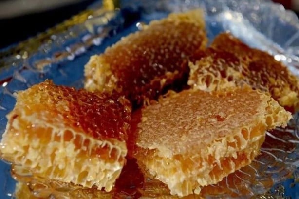 Foto - İslam alimlerinden miras bitkisel ilaçlar! Birçok hastalığın tedavisini buldular