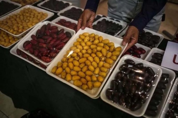 Foto - İslam alimlerinden miras bitkisel ilaçlar! Birçok hastalığın tedavisini buldular