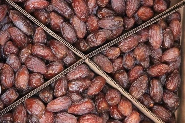 Foto - İslam alimlerinden miras bitkisel ilaçlar! Birçok hastalığın tedavisini buldular