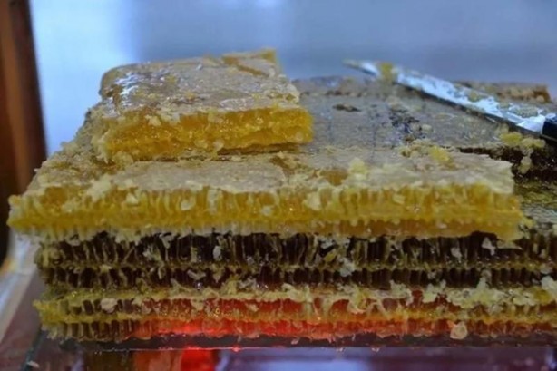 Foto - İslam alimlerinden miras bitkisel ilaçlar! Birçok hastalığın tedavisini buldular