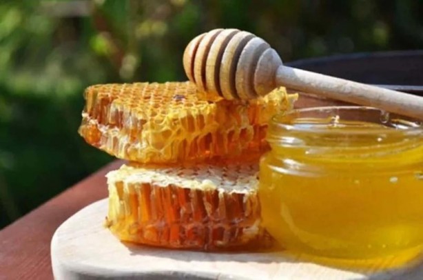 Foto - İslam alimlerinden miras bitkisel ilaçlar! Birçok hastalığın tedavisini buldular