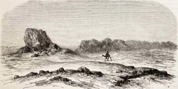 Foto - İslam alimlerinden miras bitkisel ilaçlar! Birçok hastalığın tedavisini buldular