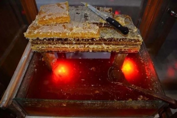 Foto - İslam alimlerinden miras bitkisel ilaçlar! Birçok hastalığın tedavisini buldular