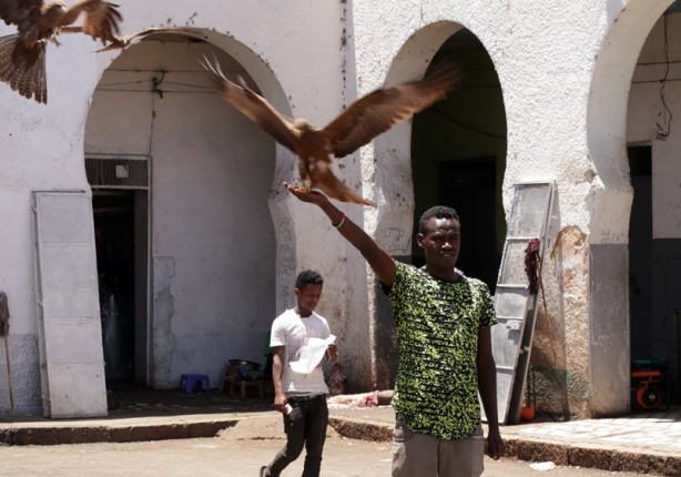 Foto - İslam’ın dördüncü kutsal şehri: Harar