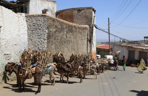 Foto - İslam’ın dördüncü kutsal şehri: Harar