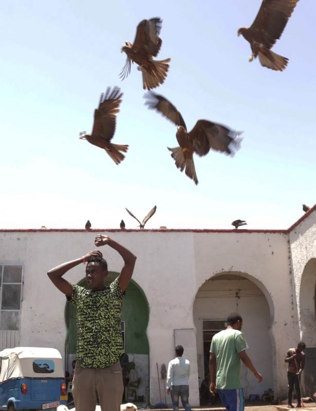 Foto - İslam’ın dördüncü kutsal şehri: Harar