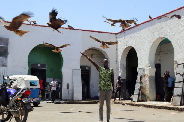 Foto - İslam’ın dördüncü kutsal şehri: Harar