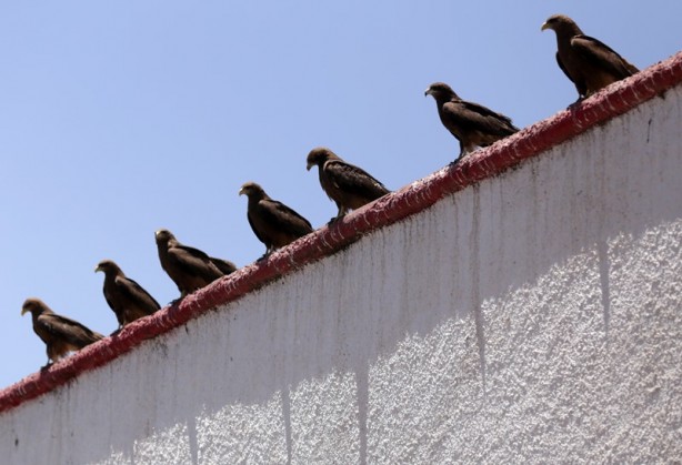 Foto - İslam’ın dördüncü kutsal şehri: Harar
