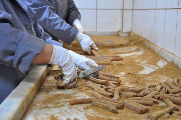 Foto - İşlendikten sonra tek tek kağıtlara sarılıyor! Tonlarcasını ücretsiz dağıtacaklar! Sadece 15 kişi hazırlıyor